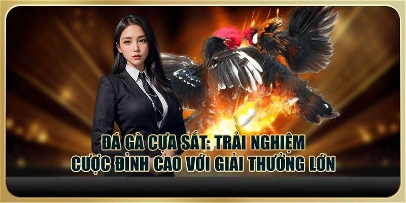 Đá Gà Cựa Sắt