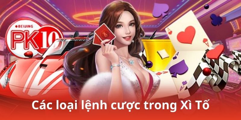 Các loại lệnh cược trong Xì Tố