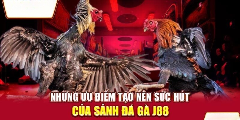 Đá gà J88 - Sân chơi đẳng cấp quốc tế mang lại sự khác biệt