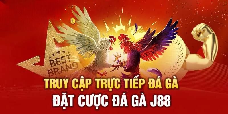 Chuyên mục Đá Gà dành cho những kê sư muốn thử thách bản thân